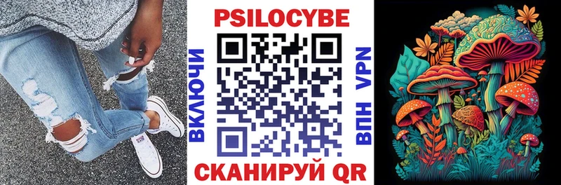 Псилоцибиновые грибы GOLDEN TEACHER  Купить где  Калач 